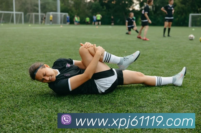 新葡京娱乐服务体系